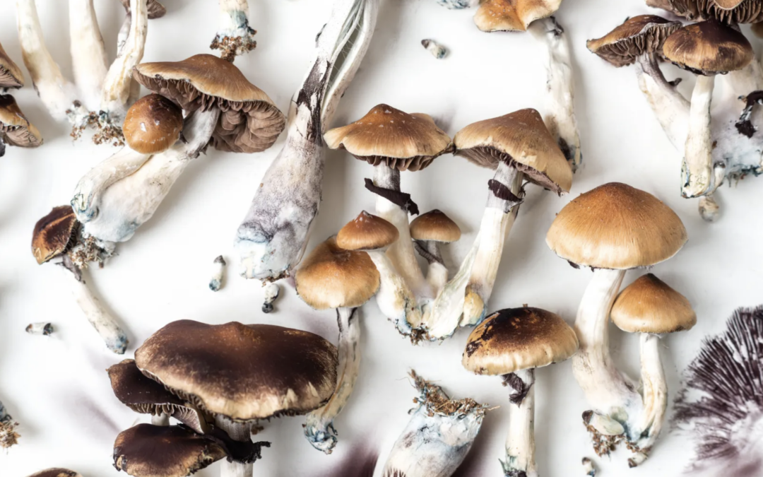 Using Psychedelics to Treat Chronic Pain